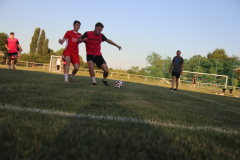 IMG_8529_1024x683