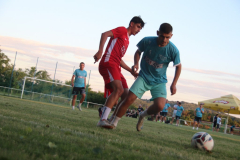 IMG_8629_1024x683