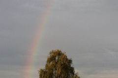 IMG_6912_538x768