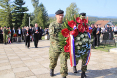 IMG_8260_1024x683