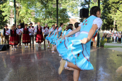 IMG_5353_1024x683