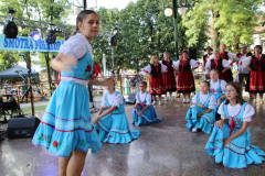IMG_5372_1024x683