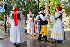 IMG_5545_1024x683