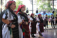 IMG_5720_1024x683