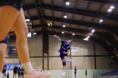 IMG_0266_1024x683