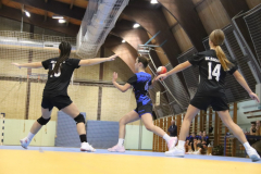 IMG_0318_1024x683