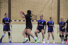 IMG_0348_1024x683