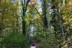 viber_slika_2025-10-29_17-16-36-314_432x768