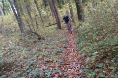 viber_slika_2025-10-31_17-28-11-860_1024x461