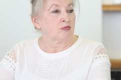 press-vpz-105_512x768