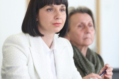 press-vpz-188_512x768