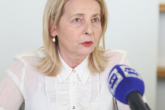 press-vpz-376_512x768