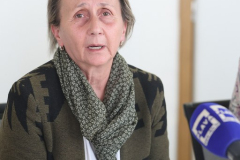 press-vpz-413_512x768