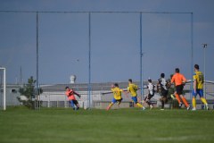 DSC_0274_1024x683