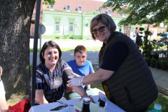 IMG_5633_1024x683
