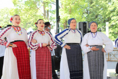 IMG_6252_1024x683