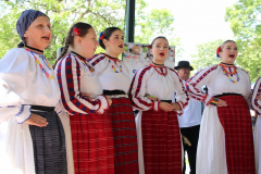 IMG_6254_1024x683