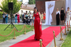 IMG_7071_1024x683