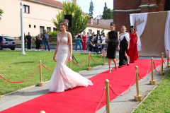 IMG_7086_1024x683