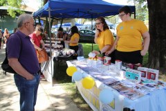 IMG_4150_1024x683