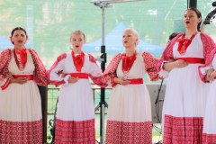 IMG_4260_1024x683