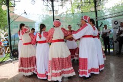 IMG_4287_1024x683