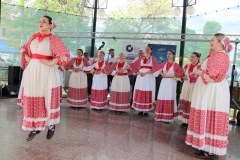 IMG_4306_1024x683