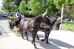 IMG_5212_1024x683