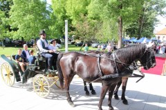 IMG_5214_1024x683