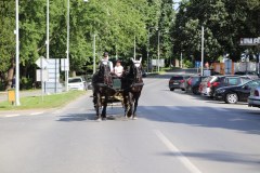 IMG_5272_1024x683