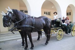 IMG_5306_1024x683