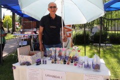 IMG_4705_1024x683