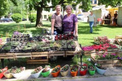 IMG_4721_1024x683