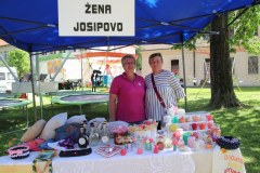 IMG_4962_1024x683