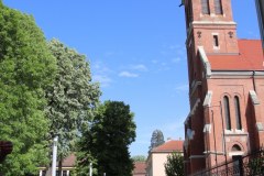 IMG_5285_1024x683