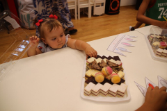 IMG_0026_1024x683