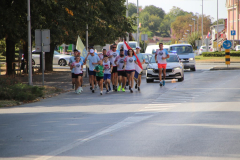 IMG_0154_1024x683