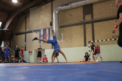 IMG_4530_1024x683