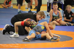 IMG_4553_1024x683