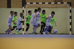 IMG_4034_1024x683