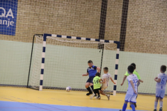 IMG_4040_1024x683