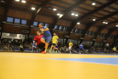 IMG_4236_1024x683