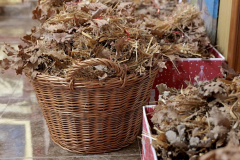 0-02-05-402ea3fbe30e24529d57e102f0605bc1307c2ea34ce15bc95e6b3f859d094c20_8c4d988fb6262845_1024x682