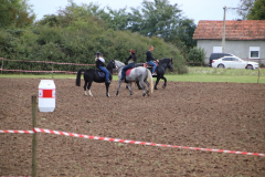 IMG_1893_1024x683