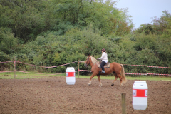 IMG_1931_1024x683