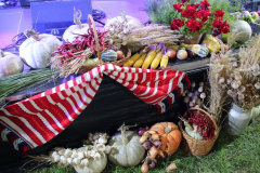 IMG_2190_1024x683