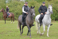 viber_slika_2025-10-06_02-03-37-336_1024x576