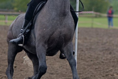 viber_slika_2025-10-06_02-06-25-325_432x768