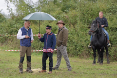 viber_slika_2025-10-06_02-06-34-318_1024x576