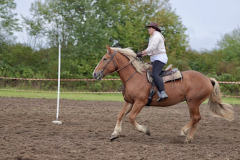 viber_slika_2025-10-06_02-06-36-060_1024x576